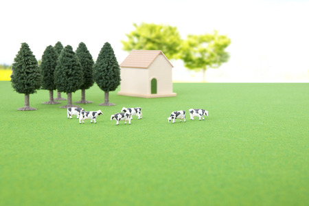 Ranchの写真素材