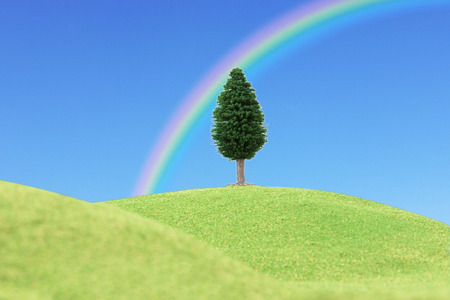 Tree on the Hillの写真素材