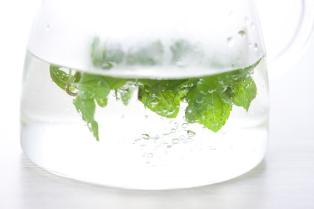 Peppermint herbal teaの写真素材