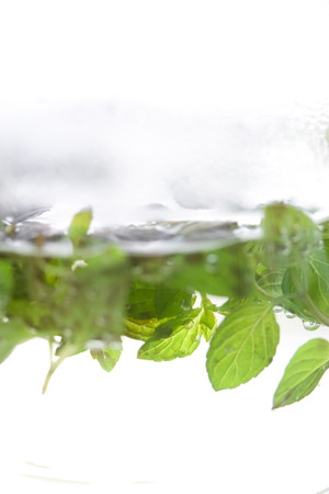 Peppermint herbal teaの写真素材