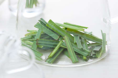 Lemon grassの写真素材