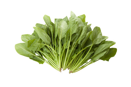 Spinachの写真素材