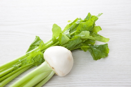 Leaves of turnipの写真素材