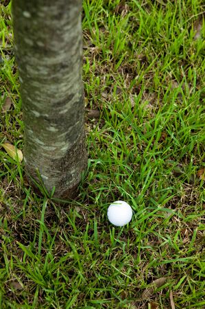 Roughの写真素材