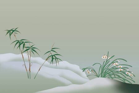 Bamboo and narcissusの写真素材