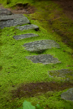 Stepping stonesの写真素材