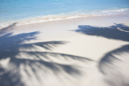 Beachの写真素材