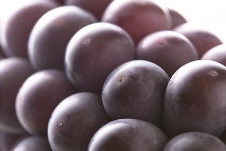 Kyoho grapesの写真素材