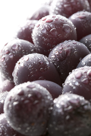 Kyoho grapesの写真素材