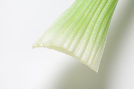 Celeryの写真素材