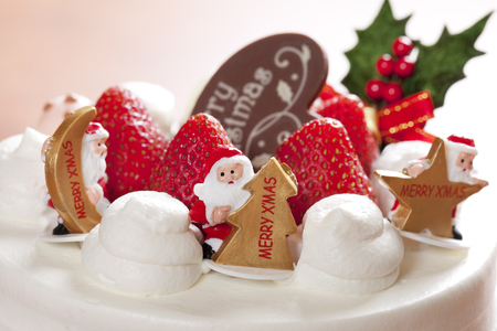 Christmas cakeの写真素材