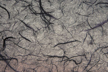 Paper texturesの写真素材