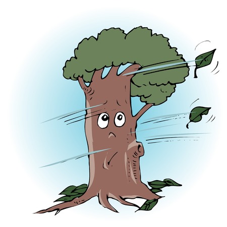 Winter windの写真素材