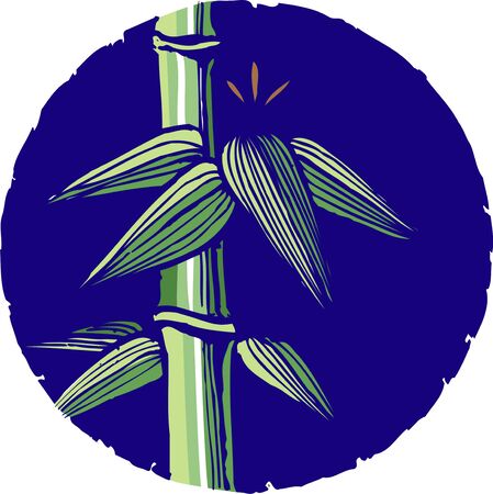 Bambooの写真素材