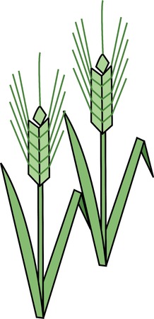 Wheatの写真素材