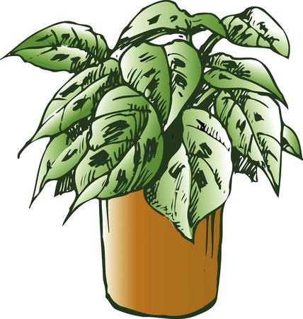 Makoyanaの写真素材