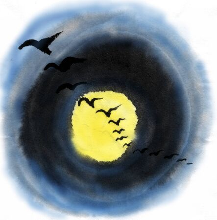 Wild gooseの写真素材