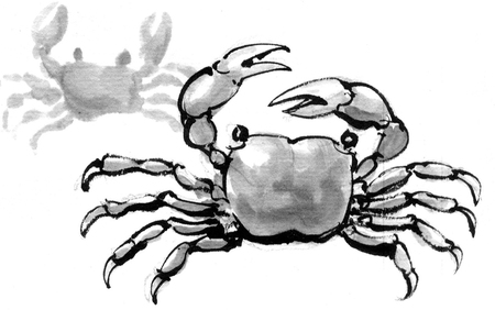 Crabの写真素材