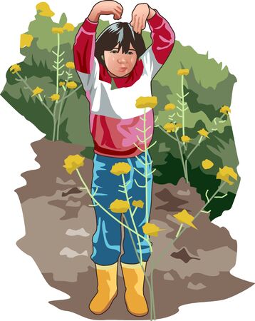 Rape fieldの写真素材