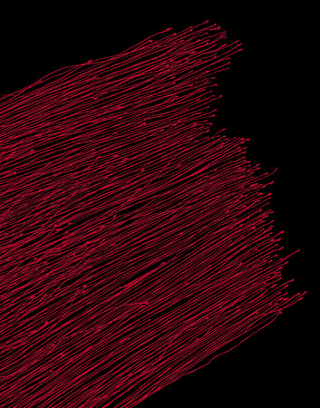Nonsection pattern patternの写真素材