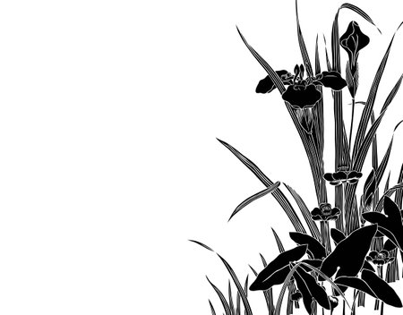 Plant patternの写真素材