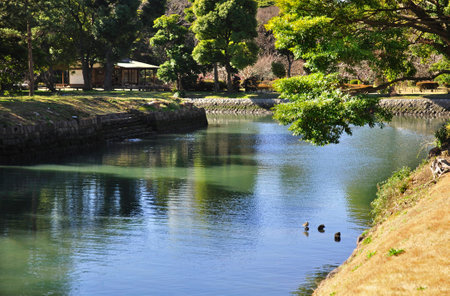 Hamarikyu gardens, inner moatの写真素材
