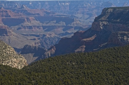 Valley with green forest plateau skyの写真素材