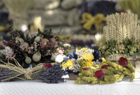 Souvenir of herbsの写真素材