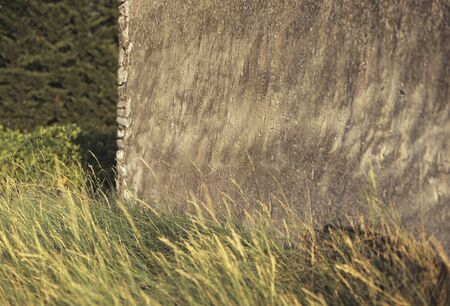 Wall of hut of grassland