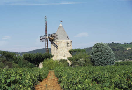 Windmill and green fieldの写真素材