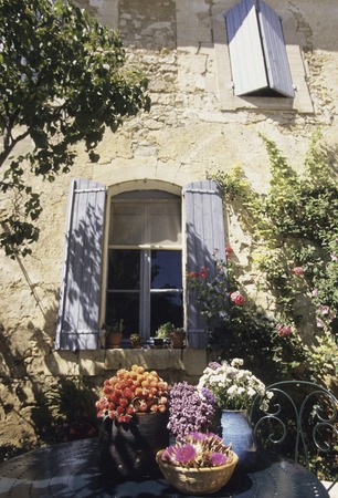 Windows and herbsの写真素材