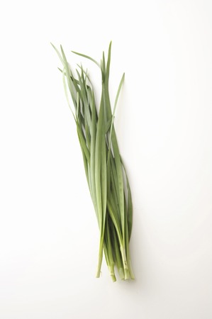 Chinese chivesの写真素材