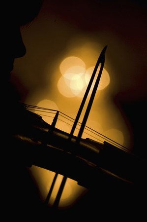 Violin and bowの写真素材