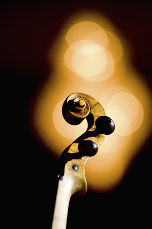 Scroll of the violinの写真素材