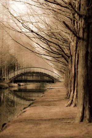 Tree-lined streets and arched bridgeの写真素材