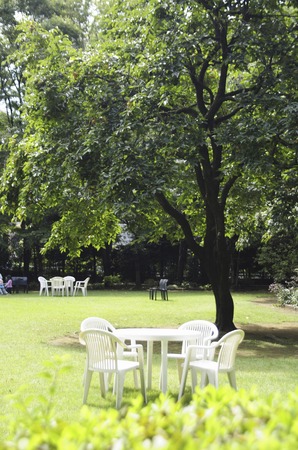 Garden white tableの写真素材