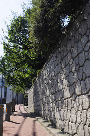 Stone fence and plantingの写真素材