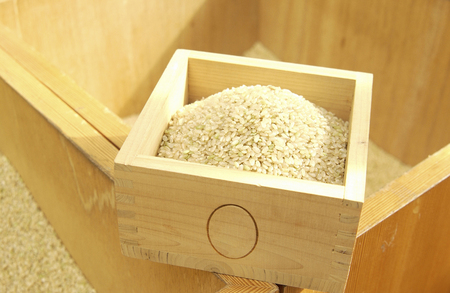 Rice has entered the massの写真素材