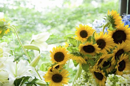 Natsuhanaの写真素材