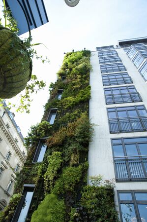 Annie Shea am hotelsの写真素材