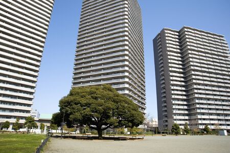 Tower apartment and woodの写真素材