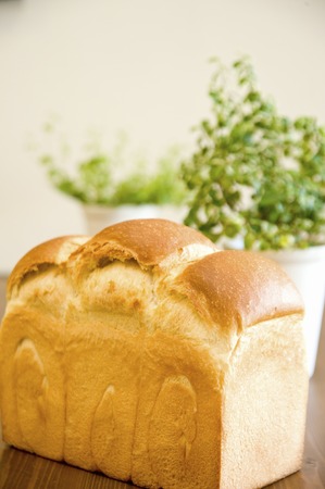 Bread and potted