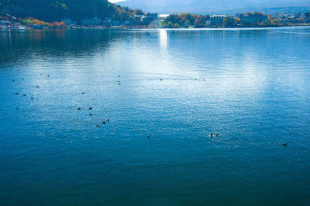 Autumn Kawaguchikoの写真素材