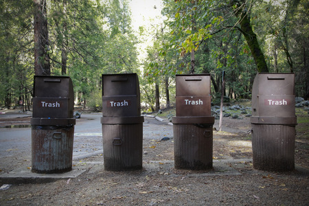 Trash in the National Parkの写真素材