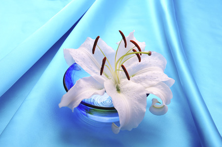 Casablanca and satinの写真素材