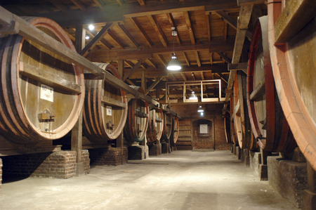Wine Factory