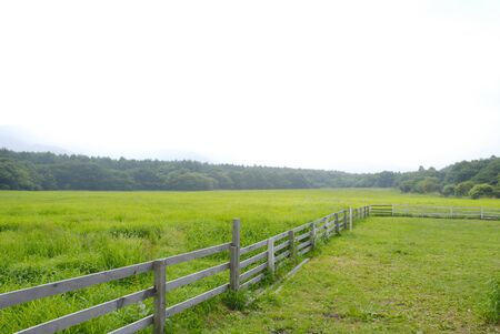 Ranch