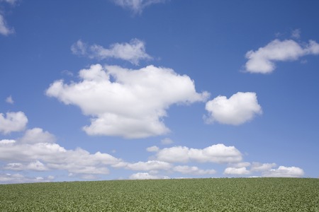 Meadows and cloudsの写真素材