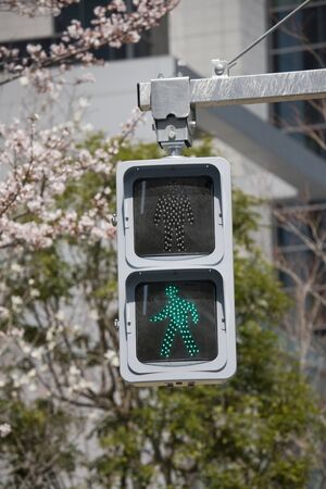 Pedestrian signalsの写真素材