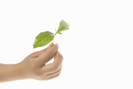 Children's handsの写真素材